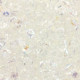 Matubo MiniDuo Perlen 4x2.5mm Crystal ab